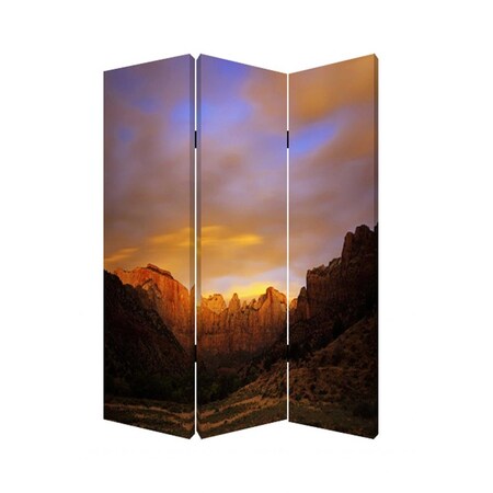 Palacedesigns 1 x 48 x 72 in. Wood Canvas Desert Screen Multi Color PA3675308
